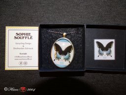  Schönbrunn am 22. 03. 2024